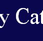 McCarthy Catholic College Tamworth - Education Melbourne