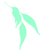 Horticultural Training Pty Ltd - Education Melbourne 0