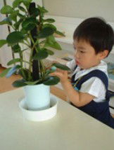 Australian Montessori Society - Education Melbourne 3