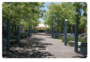 Mary MacKillop College - Education Melbourne 1