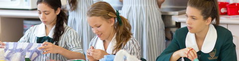Our Lady Of Mercy College Parramatta - Education Melbourne 4