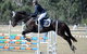 Fairholme College - thumb 16