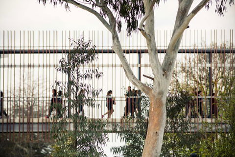 Our Lady Of Mercy College - Education Melbourne 4