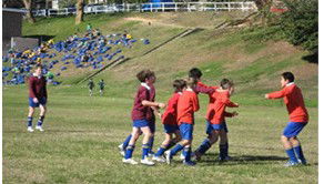 Waverley College - Education Melbourne 5