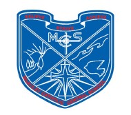 Mcauley Catholic Central School