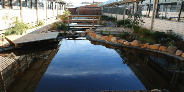 Cranbourne West Primary School - thumb 3