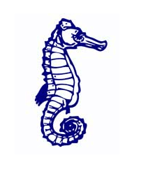 Albert Park Primary School Albert Park