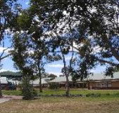 Clayton View Primary School - Education Melbourne