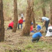 Guildford Primary School - Education Melbourne 4