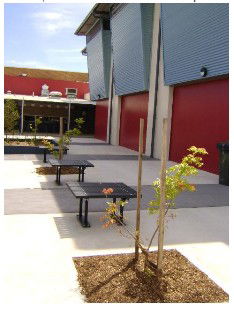 Wellington Secondary College - Education Melbourne 1