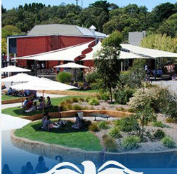 Luther College - Education Melbourne 1