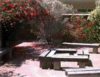 Cecil Andrews Senior High School - Education Melbourne 0