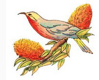 Coodanup Community College - Education Melbourne 0