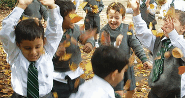 Trinity Grammar Preparatory School - Education Melbourne 2