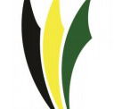 Ascot Park R-7 Specialist Physical Education and Sport School - Education Melbourne