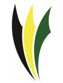 Ascot Park R-7 Specialist Physical Education And Sport School - Education Melbourne 0