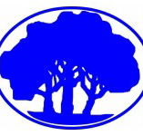 Mitcham Primary School - Education Melbourne