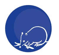 Mylor Primary School - Education Melbourne 0