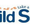 Child Side School - Education Melbourne