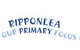 Ripponlea Primary School - thumb 0