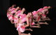 Riga Victoria Dance Academy - thumb 1