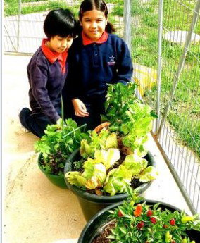 Stella Maris - Education Melbourne 3