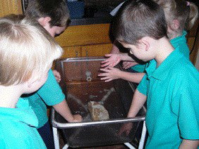 Naranga School  - Education Melbourne 3