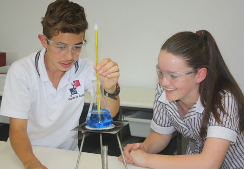 Wantirna College - Education Melbourne 1
