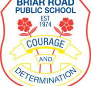 Briar Road Public School - Education Melbourne