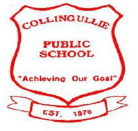 Collingullie Public School - Education Melbourne