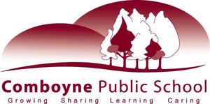 Comboyne Public School - Education Melbourne 0