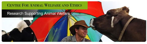Centre For Animal Welfare And Ethics - Education Melbourne 0