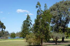 Lake Monger Primary School - Education Melbourne 0