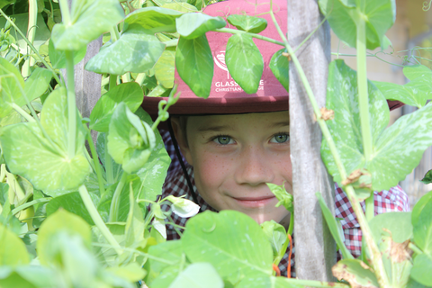 Glasshouse Christian College - Education Melbourne 3