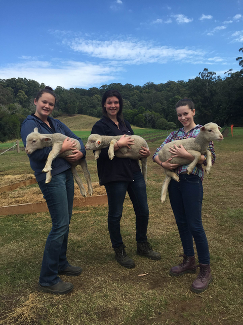 Glasshouse Christian College - Education Melbourne 4