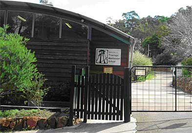 Treetops Montessori Primary School - Education Melbourne 0