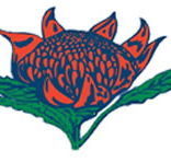 Hurstville South Public School - Education Melbourne