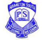 Hamilton South Public School - Education Melbourne