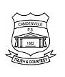 Camdenville Public School - Education Melbourne 0