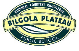 Bilgola Plateau Public School - Education Melbourne 0