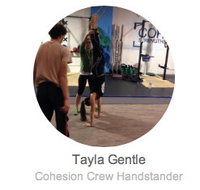 Cohesion Gym - Education Melbourne