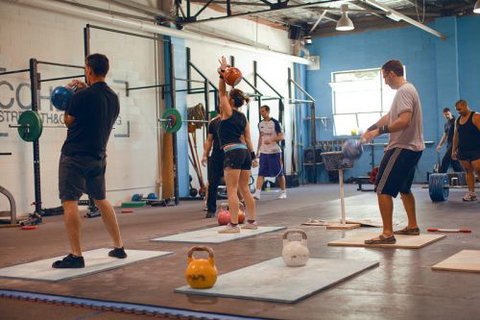 Cohesion Gym - Education Melbourne 2
