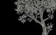 Chariklo School Of Archetypal Astrology - thumb 0