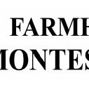 Farmhouse Montessori School - Education Melbourne