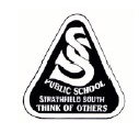 Strathfield South Public School - Education Melbourne