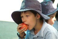 St Michael's Primary School Stanmore - Education Melbourne 4