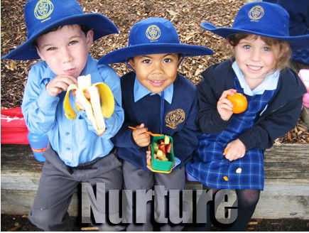 St Patrick's Primary School Sutherland - Education Melbourne 3