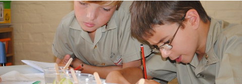 St Peter's Anglican Primary School - Education Melbourne 2