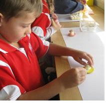 Holy Family Primary School Luddenham - Education Melbourne 2