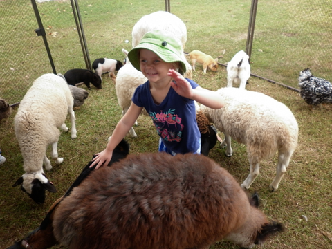 Eastside Little Learners Child Care Centre - Education Melbourne 1